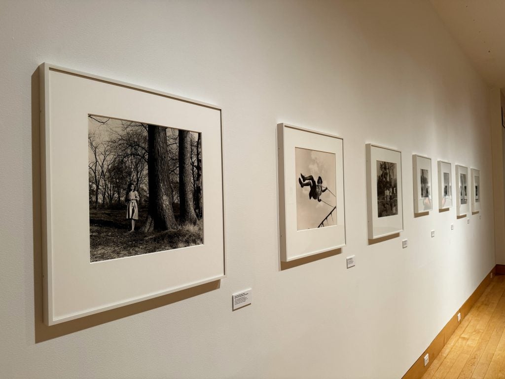 A line of photographs hanging in a gallery