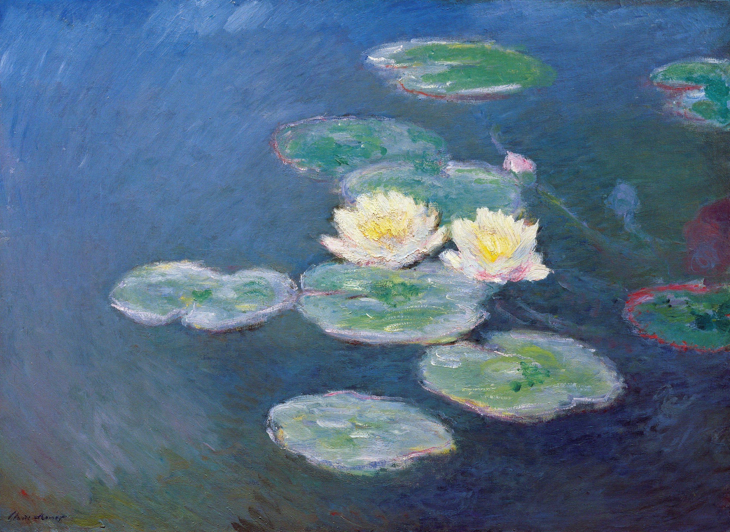 Monet's painting of water lilies