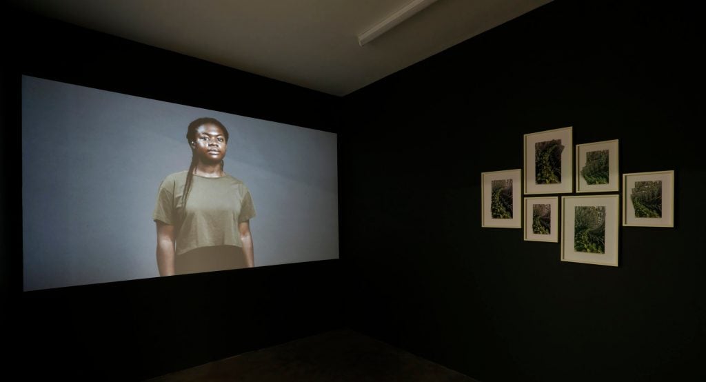 a room in which there is a video being screened on one wall, on screen in the still we can see a woman looking out at us, and on the other wall there are six photographs of bindweed framed and hanging in a cluster 