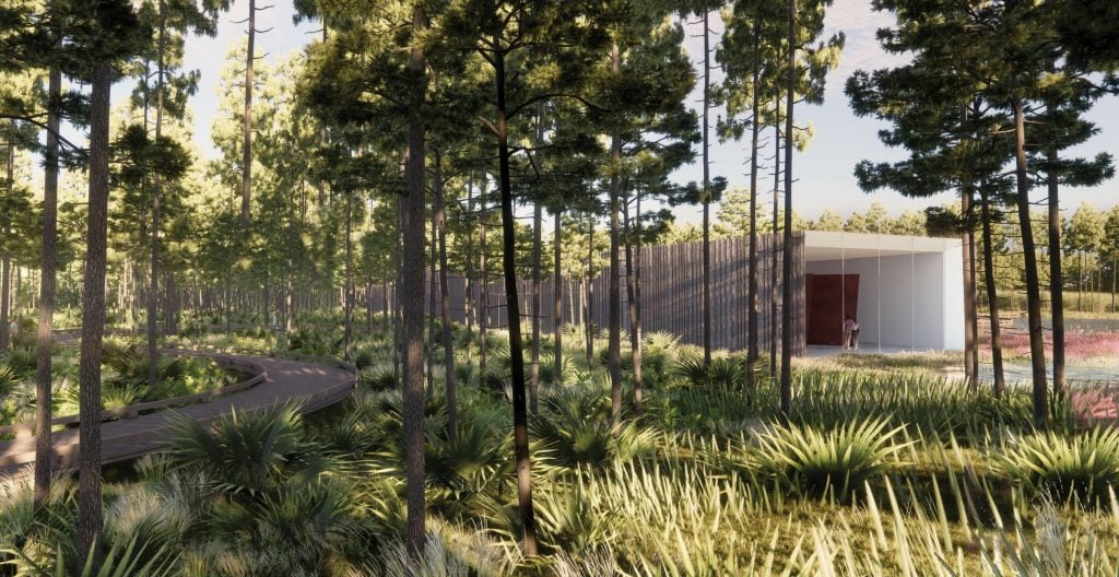 : A rendering of the "Passage of Time Pavilion" viewed from the north at Longleaf Art Park. The scene features a modern pavilion structure with open walls set amidst a dense forest of tall pine trees and lush green vegetation. A winding boardwalk leads through the natural landscape towards the pavilion, blending architecture seamlessly with the environment. The sunlight filters through the trees, creating a serene and inviting atmosphere.