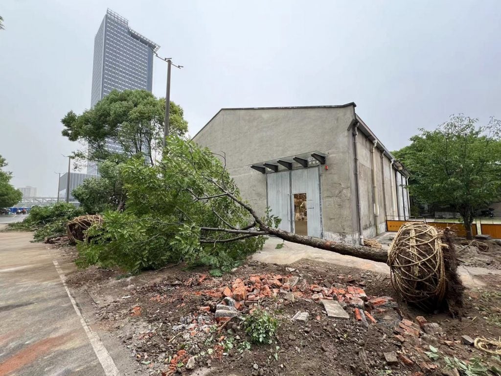 A tree has fallen over in front of a building in this color photo.