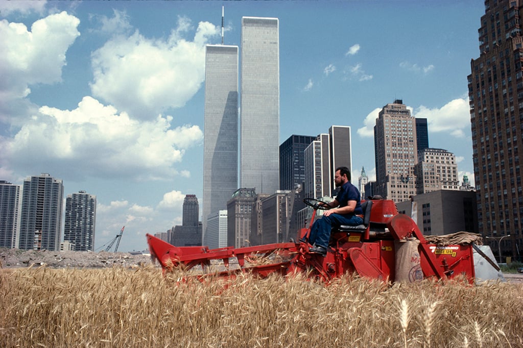 照片中，一名男子驾驶着红色拖拉机穿过一片麦田，背景是双子塔和其他金融区的摩天大楼，淡蓝色的天空下是云彩。