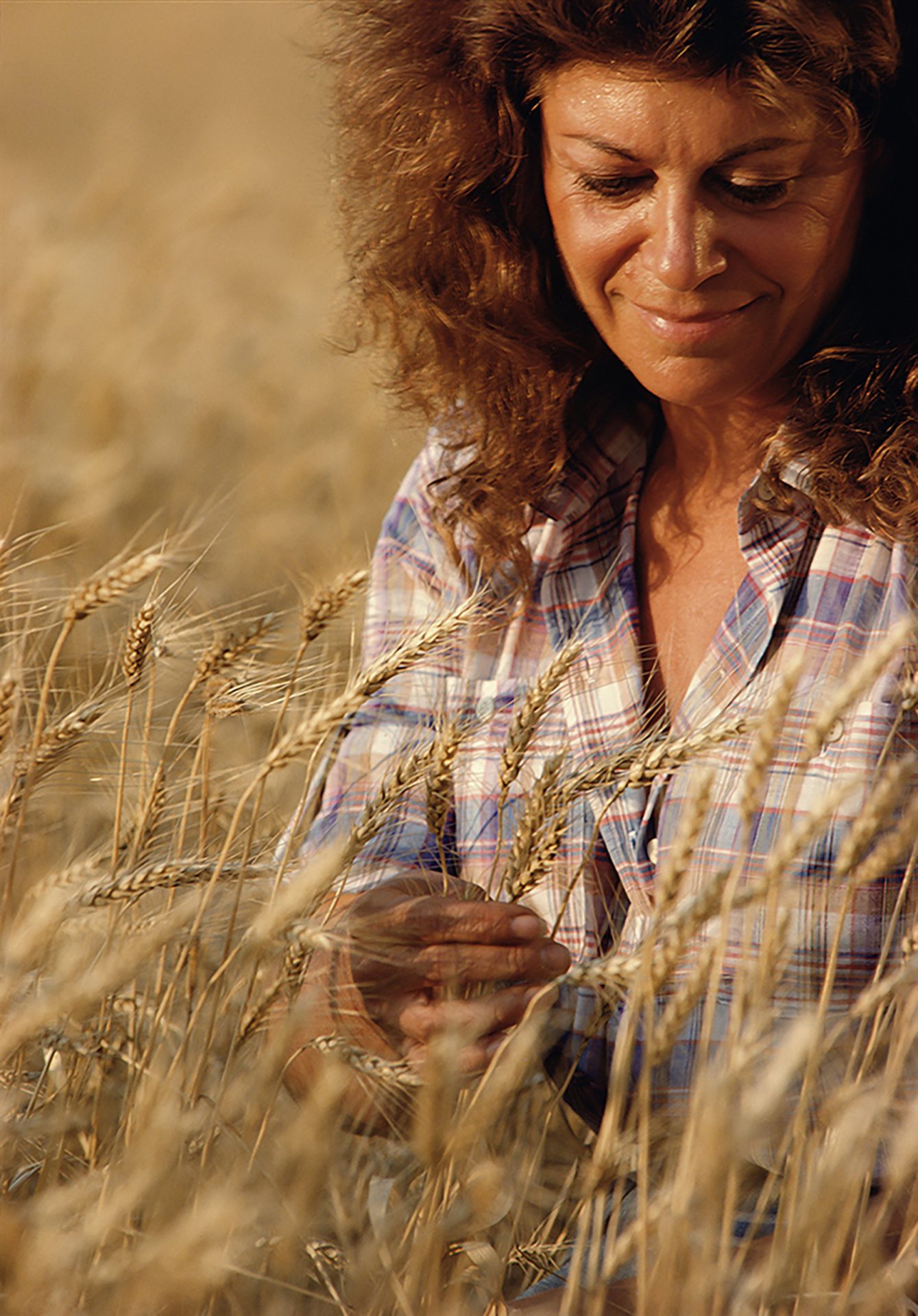 Agnes Denes’s Iconic Wheat Field Is Sprouting at Art Basel. Here Are 3 ...