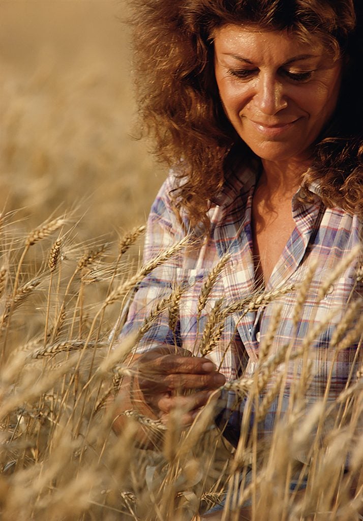 Close up portrait of Agnes Denes in 1982 as a 51-year-old woman standing in a wheat field looking at the wheat closely. She is wearing a pale plaid button down shirt.