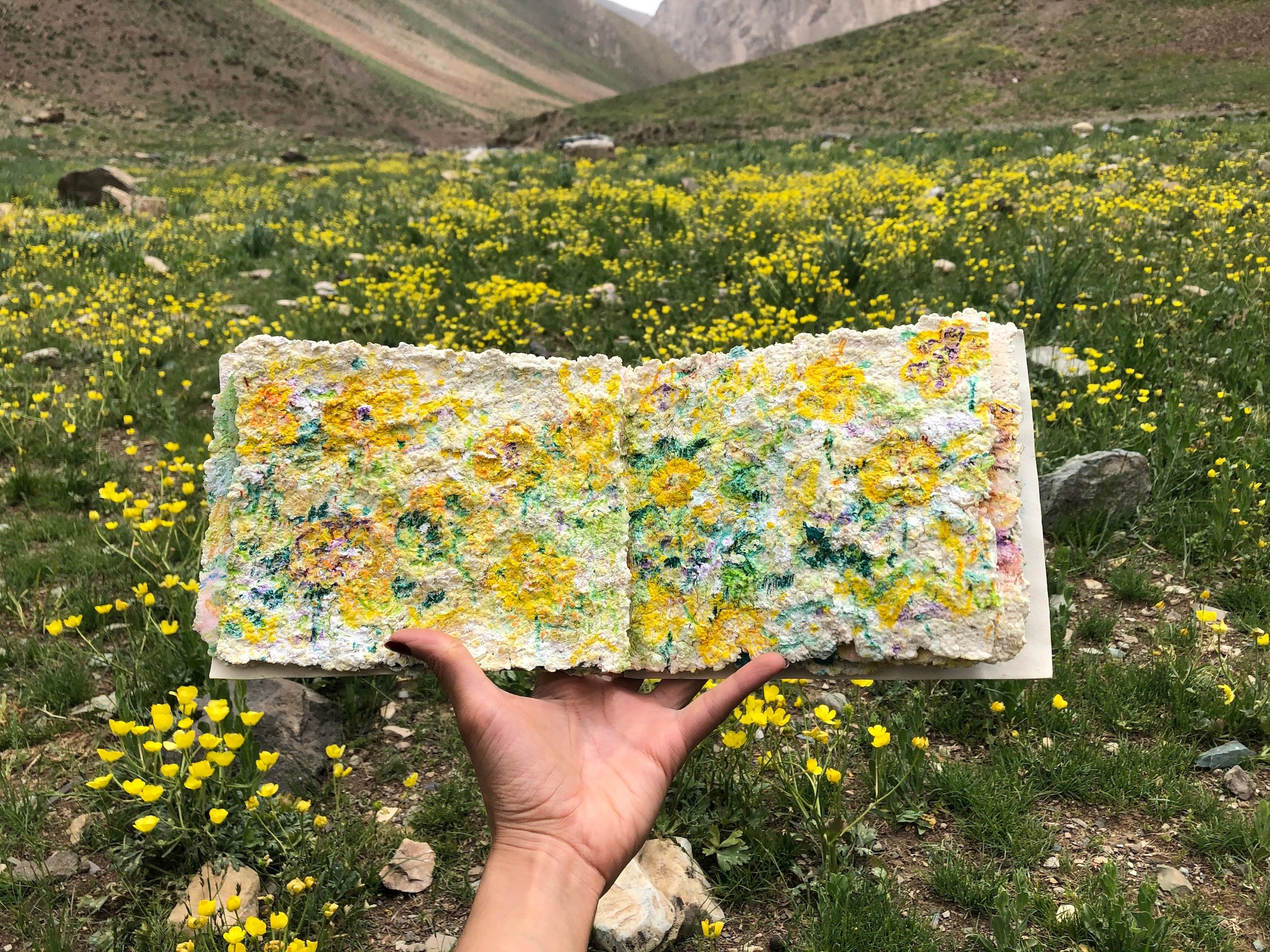 A hand holds up a book showing flowers in front of a field of flowers