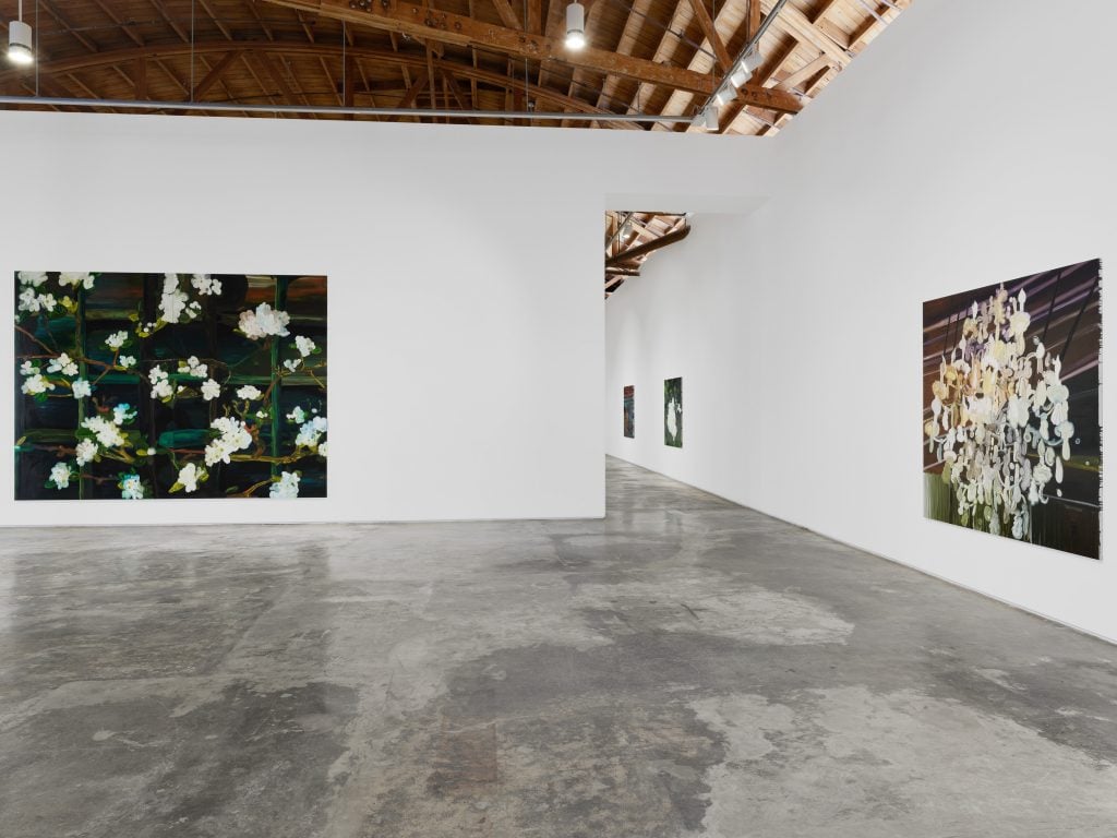 photograph of large scale paintings on white walls by artist clare woods