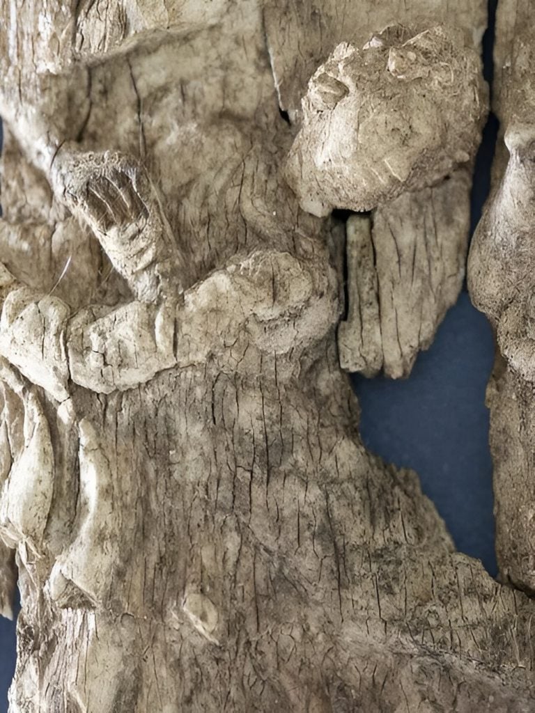 一块古老的象牙碎片，上面刻有摩西接受上帝诫命的图像
