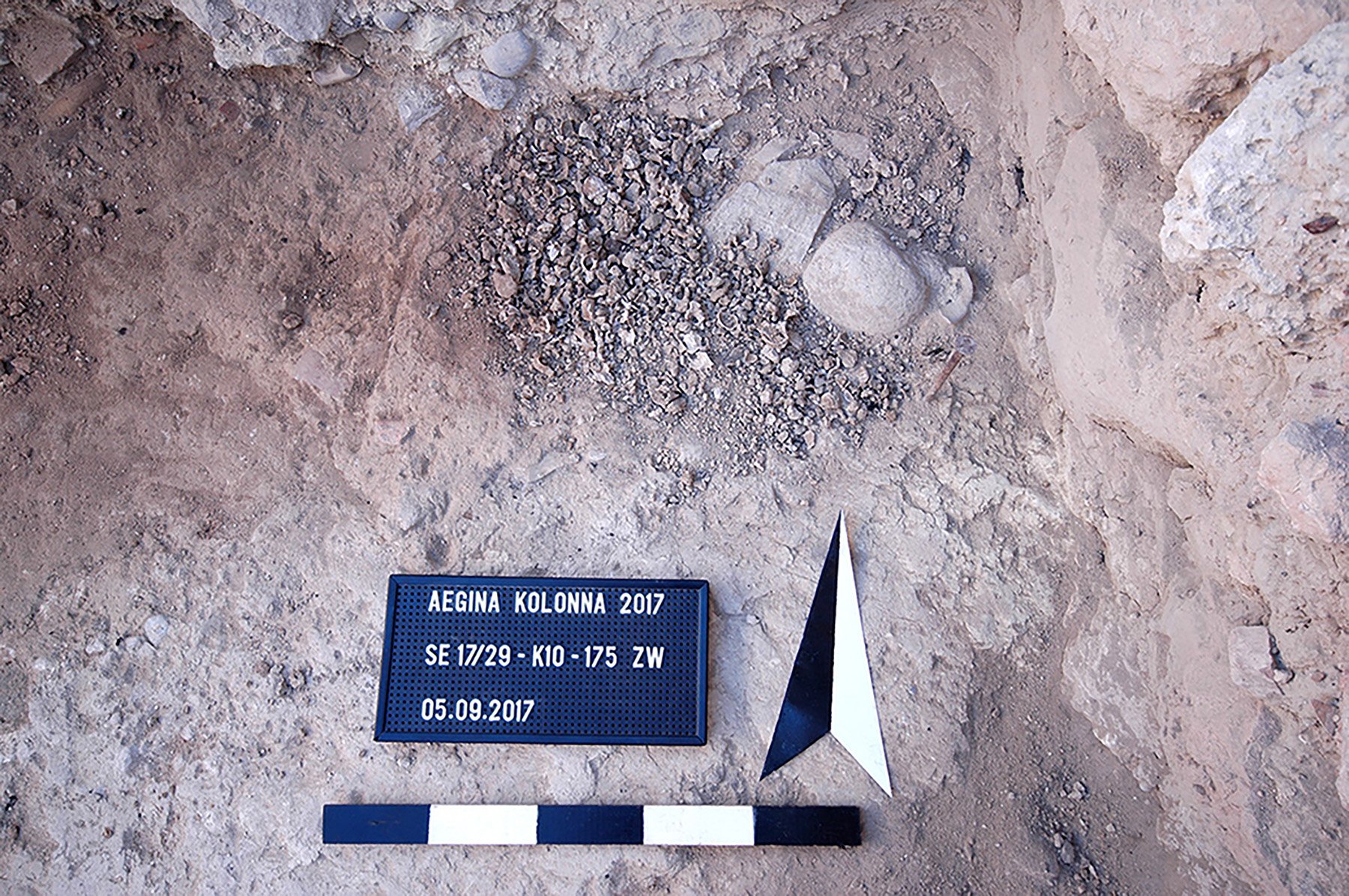 An excavated area with crushed shells