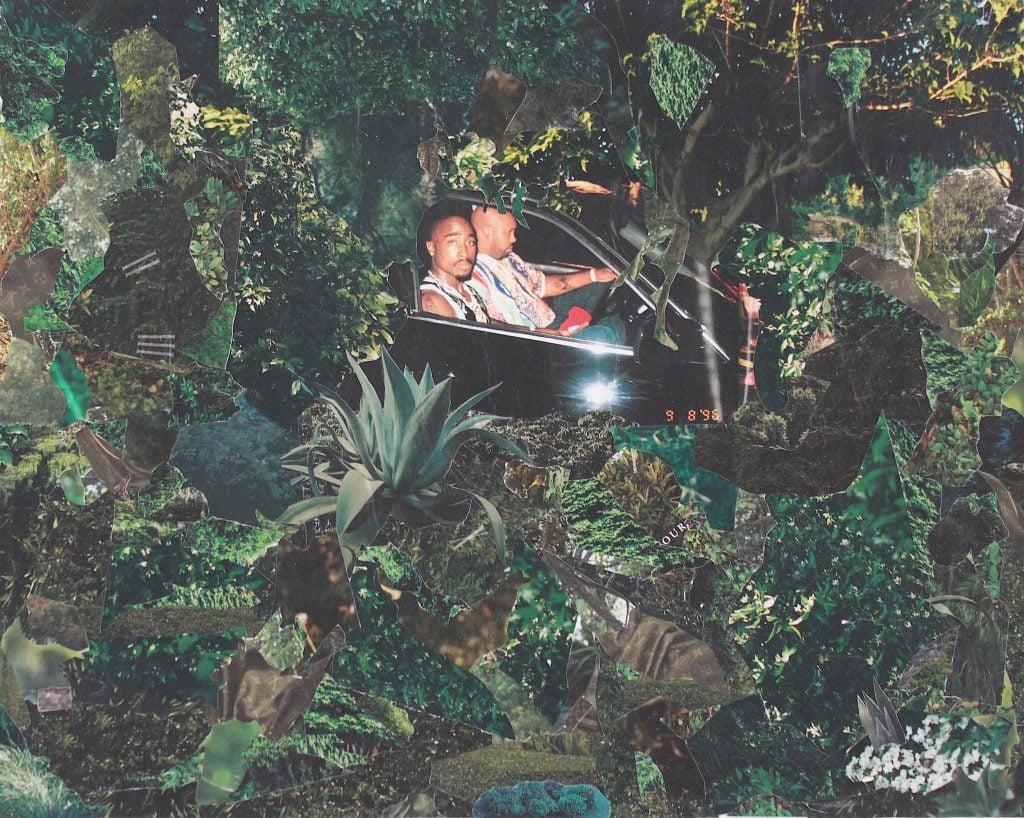 A collage of jungle foliage and a car window with Tupac Shakur in the car