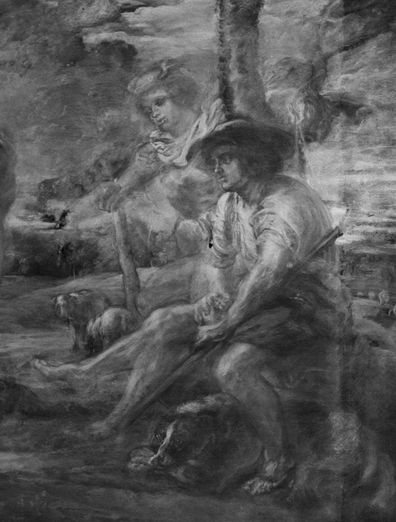彼得·保罗·鲁本斯的《帕里斯的评判》细节的 X 光片显示两名男子，一名在树后，另一名坐着，手拿苹果