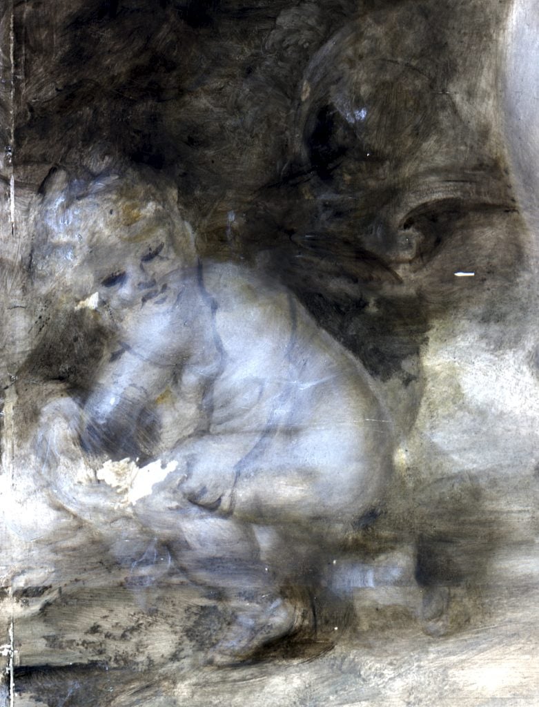 彼得·保罗·鲁本斯的《帕里斯的评判》细节的光谱图像，显示了一名蹲伏的小天使