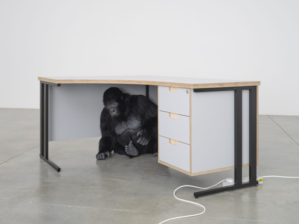 an animatronic gorilla huddles under an office desk