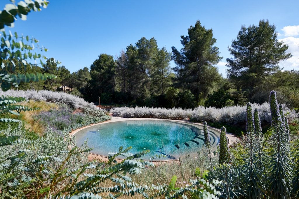 photograph of a circular pool surrounded by flora