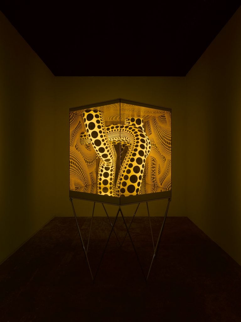 View of a lighted cube by Yayoi Kusama of 'Phantom Polka Dots' with yellow tendrils of signature Kusama polka dots curving in the interior of the box.