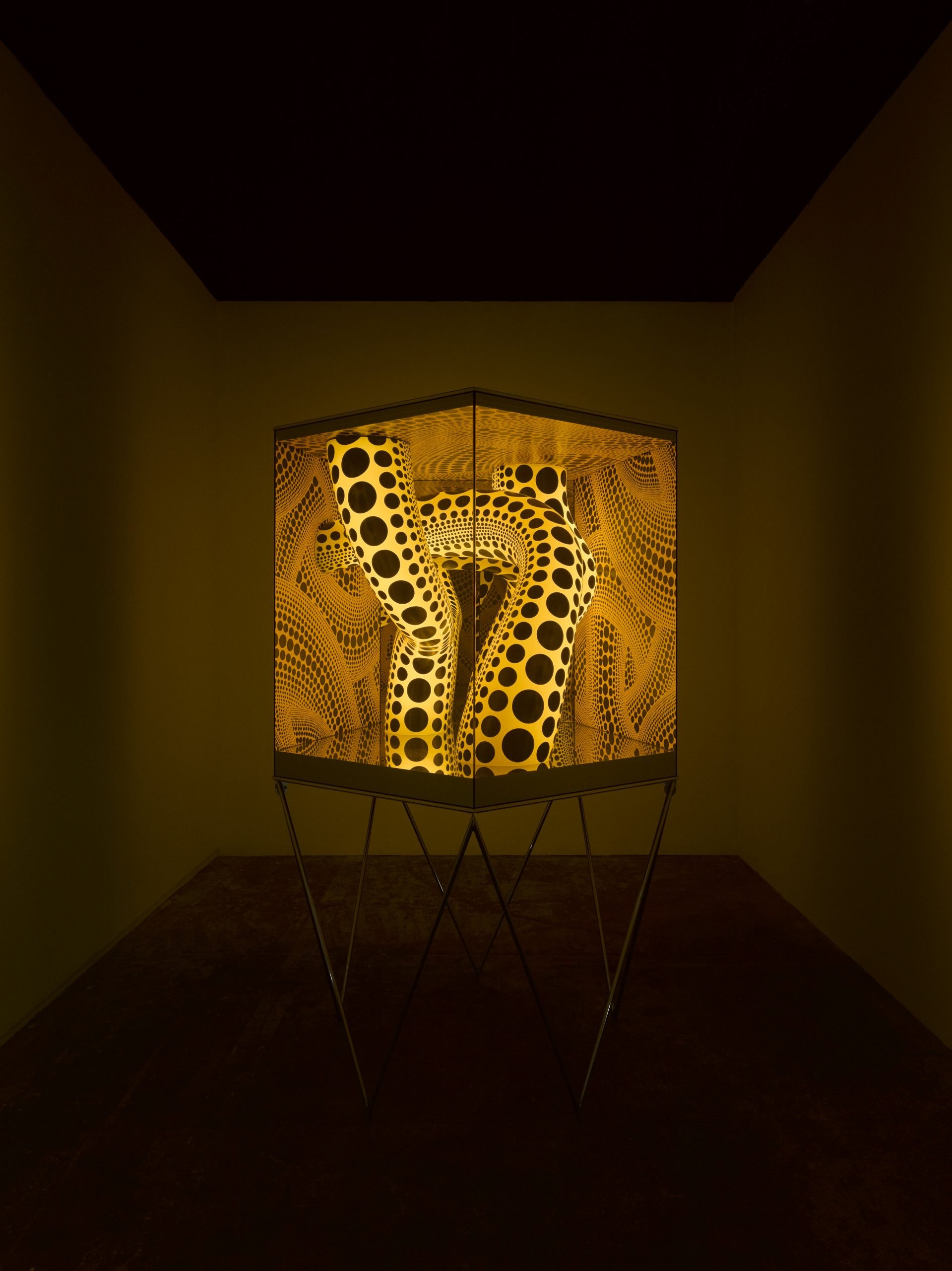 View of a lighted cube by Yayoi Kusama of 'Phantom Polka Dots' with yellow tendrils of signature Kusama polka dots curving in the interior of the box.