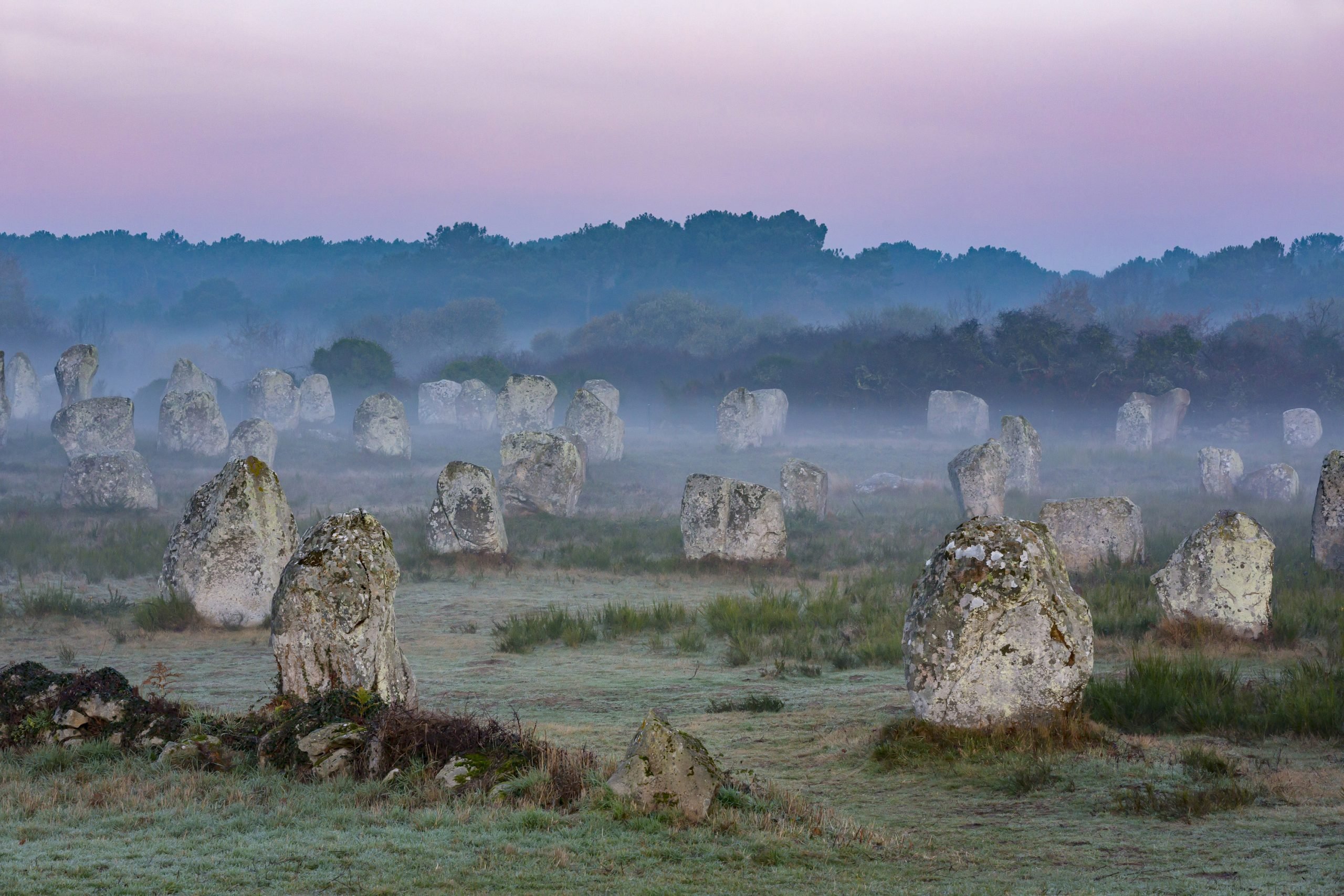 Alignments of menhirs at Menec.