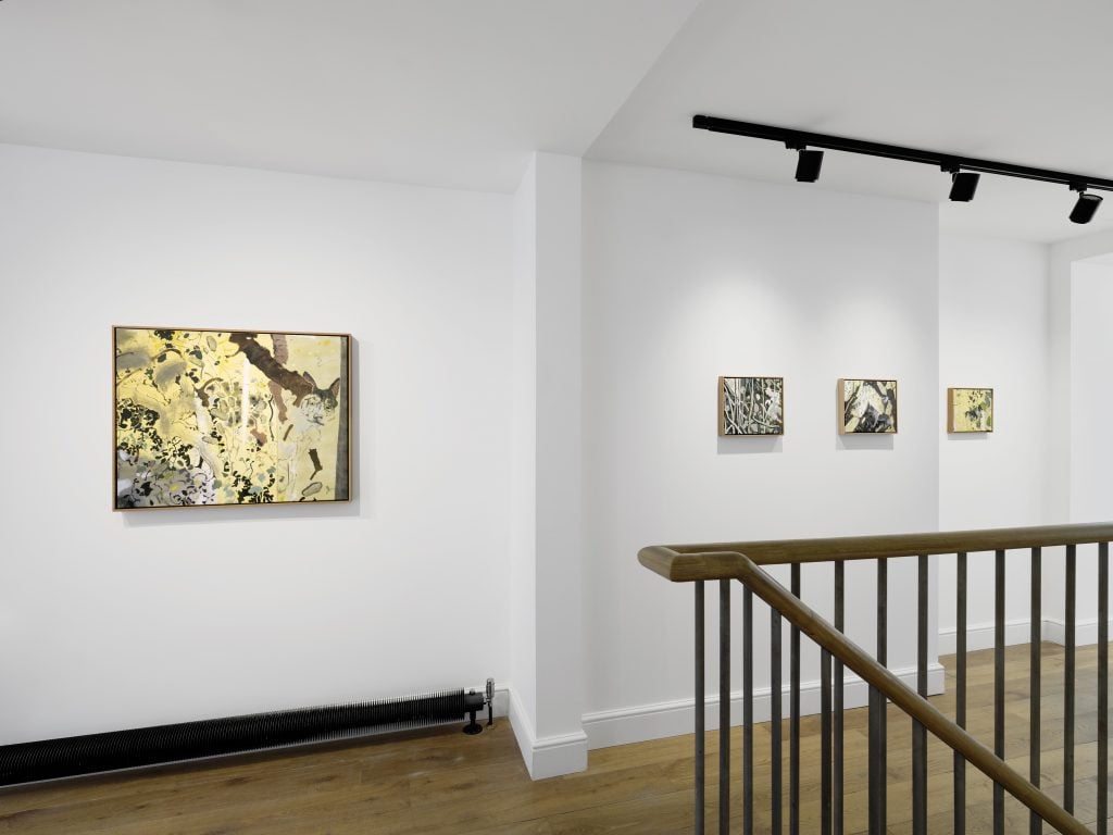 Paintings hung on a white wall in a gallery