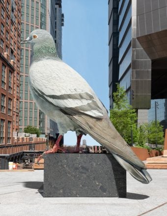 Coo! The Next High Line Plinth Commission Is a Giant Pigeon