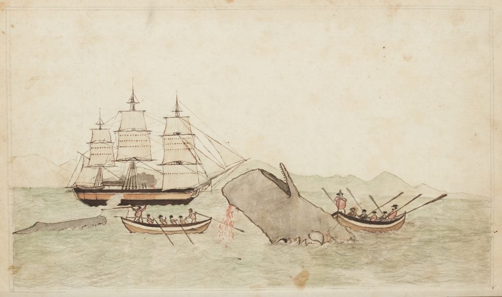 An illustration of a whaling boat capturing a whale