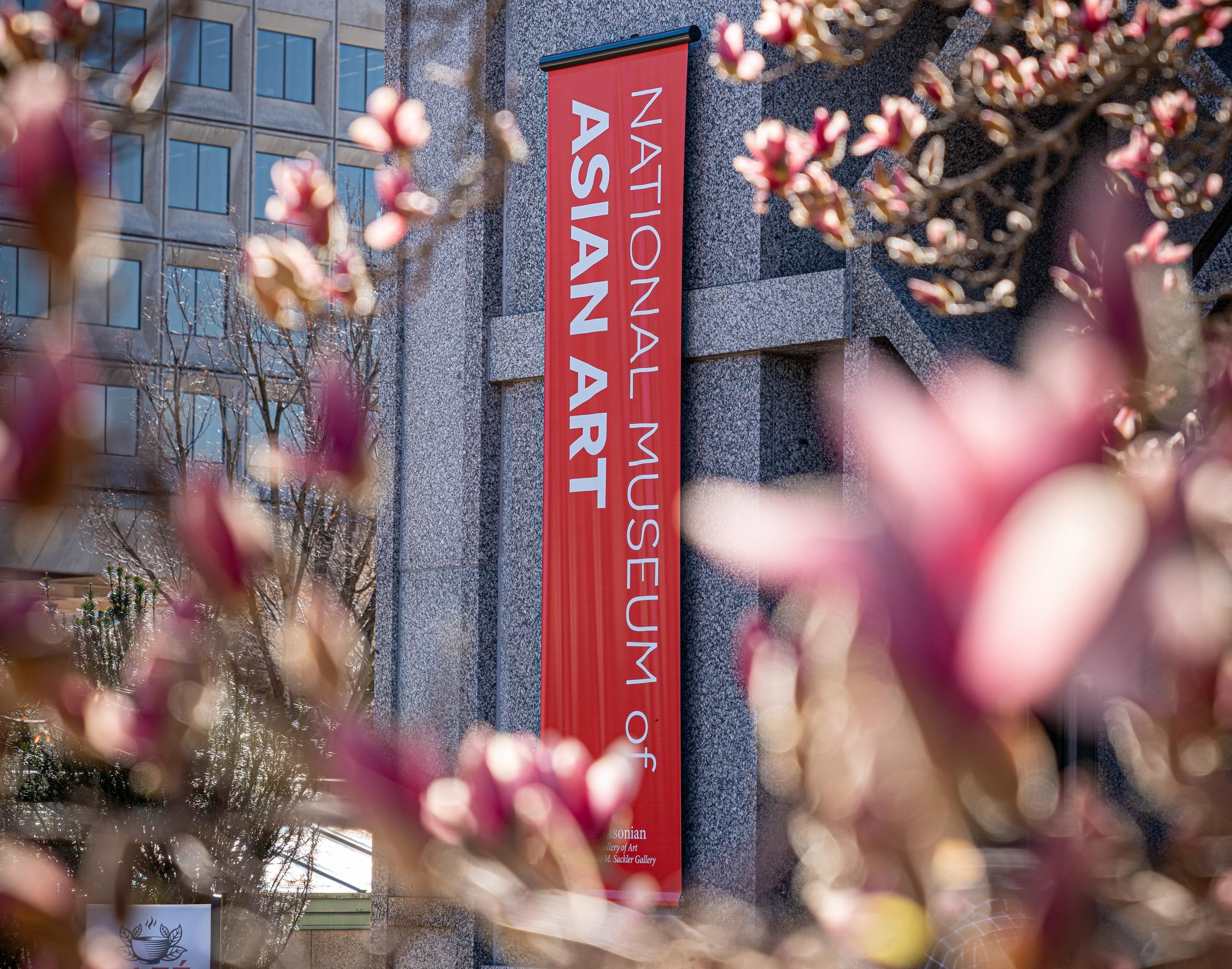 The image depicts a red banner hung vertically outside a building, with pink flowers on the foreground.