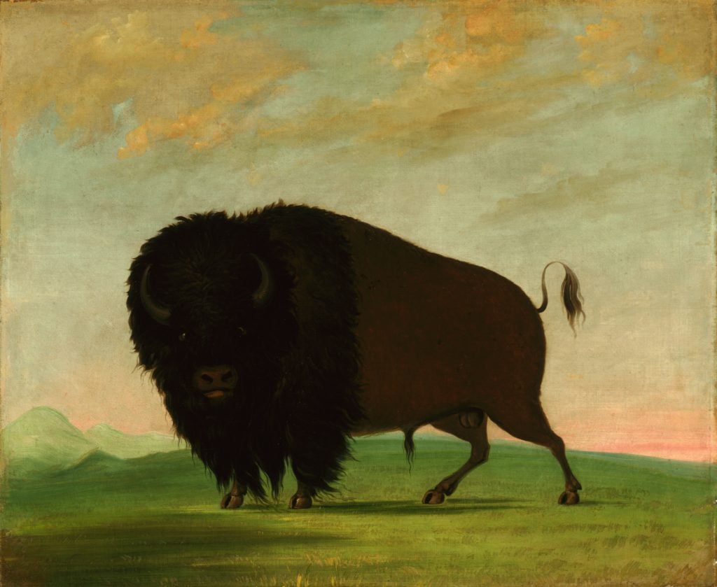 a painting of a bison on the prairie