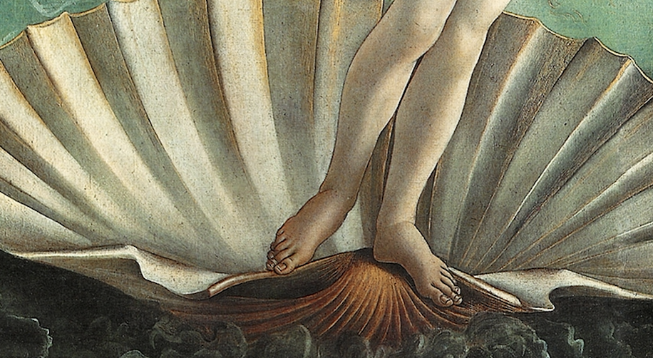 a woman's legs standing on a giant seashell