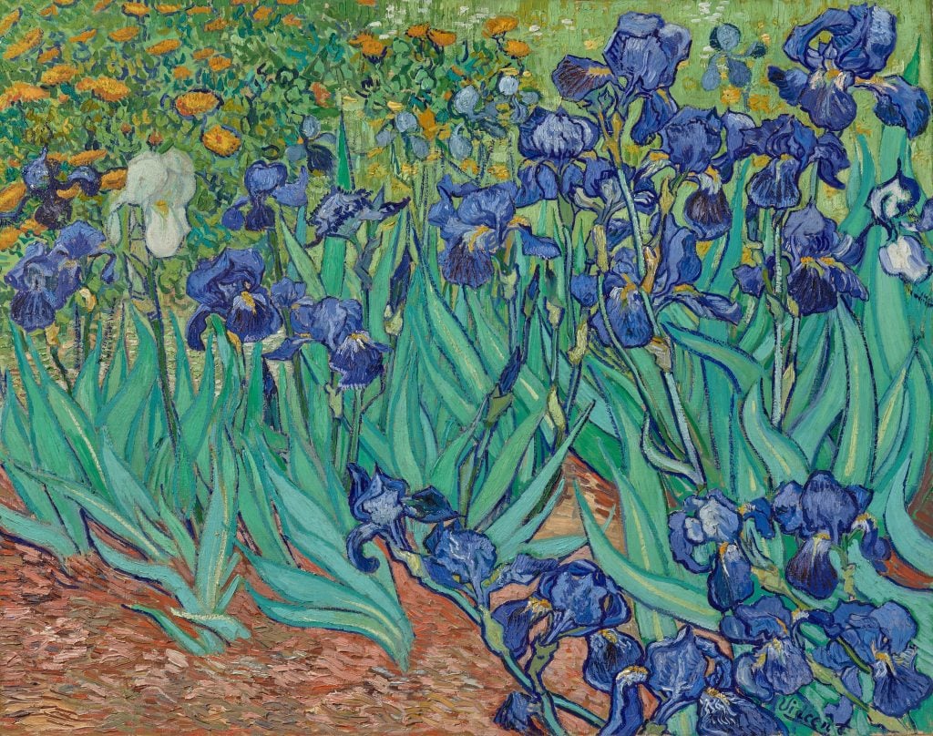 Vincent Van Gogh painting of a bed of violet irises