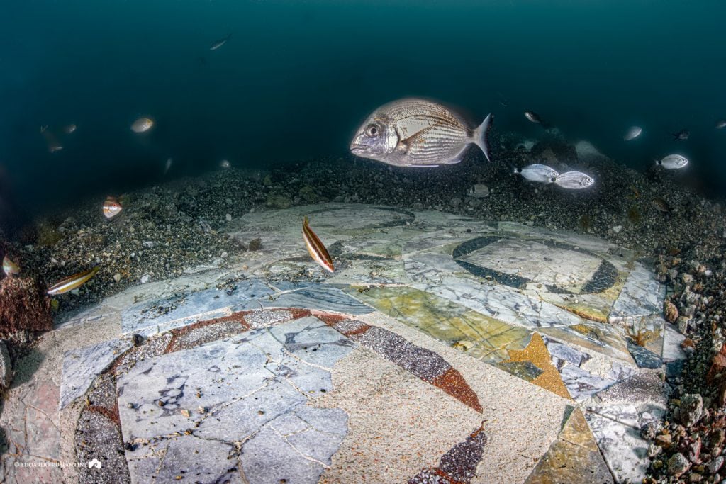 the ornate mosaic found in Baiae underwater