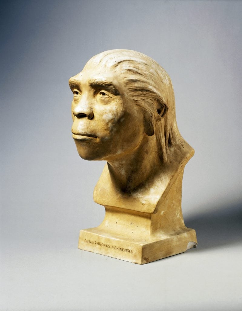 A plaster cast reconstruction of a prehistoric man