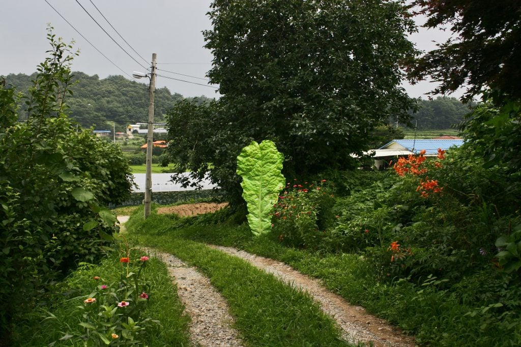 A rural landscape photo with a two tire dirt road but in the center there is a tree-size piece of romaine lettuce, featured in the exhibition i am because we are.