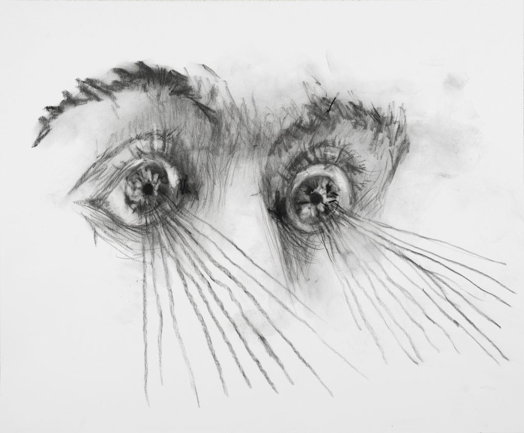 A charcoal on paper drawing of a pair of startled eyes with lines emanating out of their pupils.