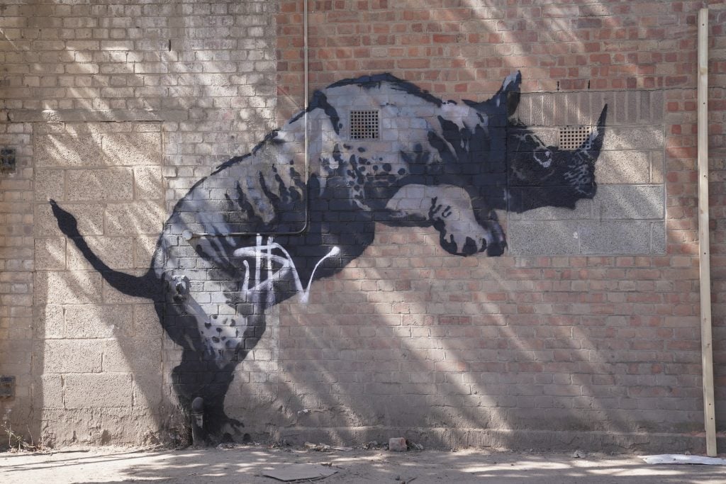 a spray-painted mural on a wallof a rhinoceros looks like its mounting something that isn't there