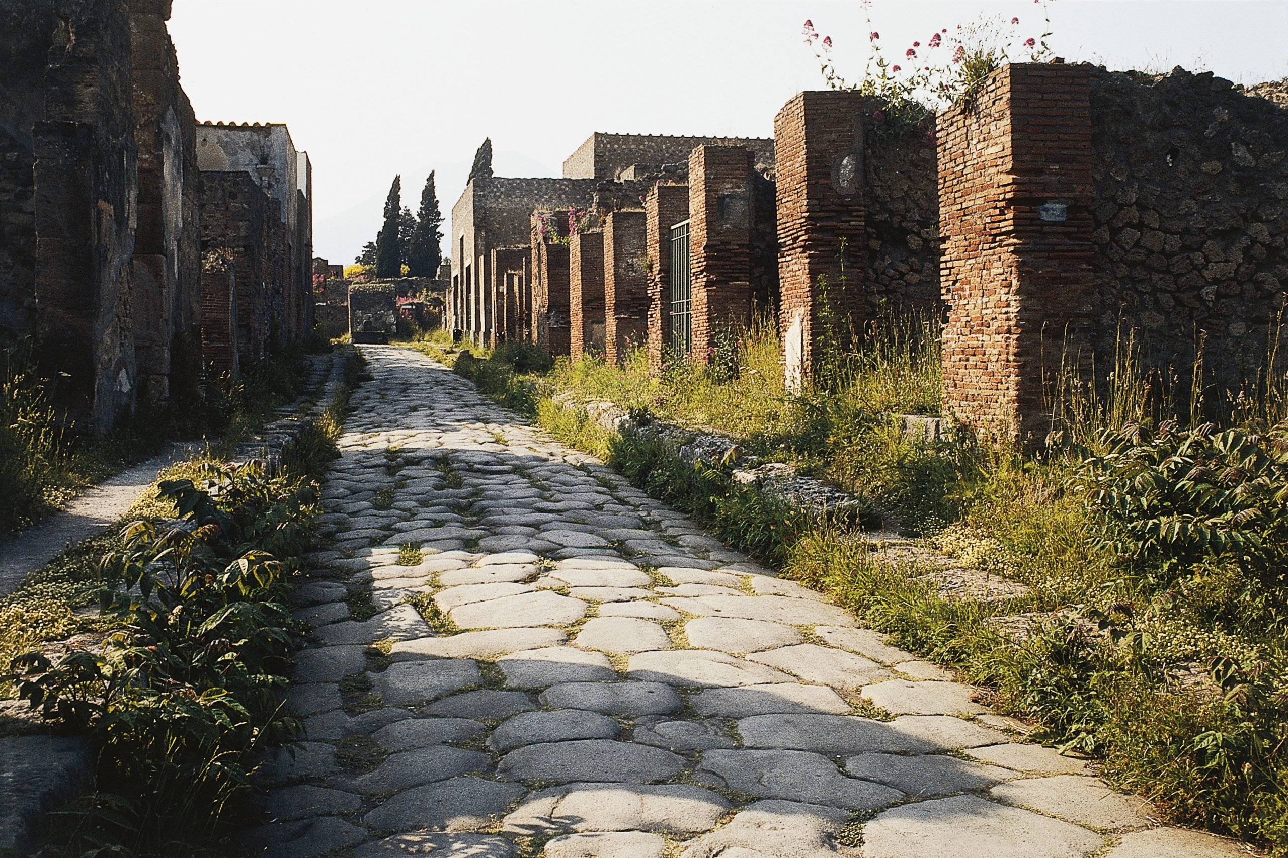 A stone-paved street in the ancient ruin of Pompeii.