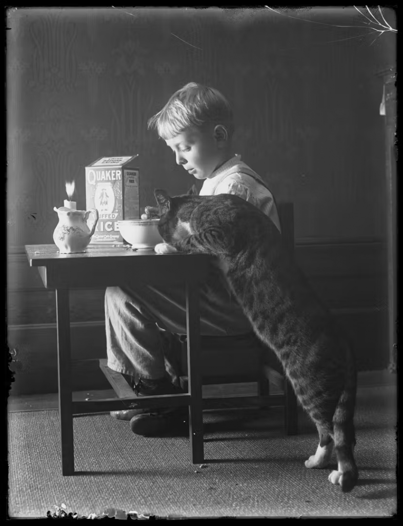 a boy sits at a low table eating breakfast with a cat reaching into his bowl
