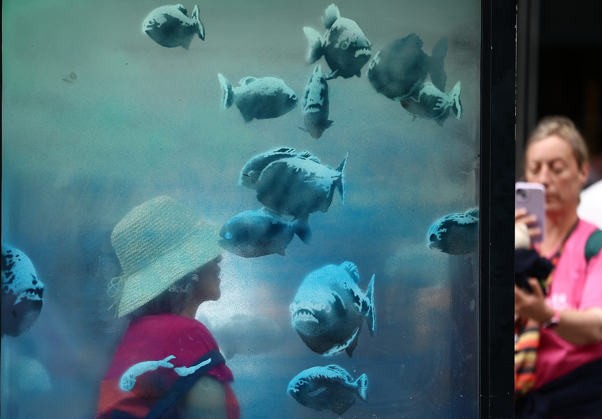 A glass surface with a school of piranha fish in shades of semi-transparent, shimmery blue pasted onto it. we can see a person wearing a white hat murkily because they are standing behind