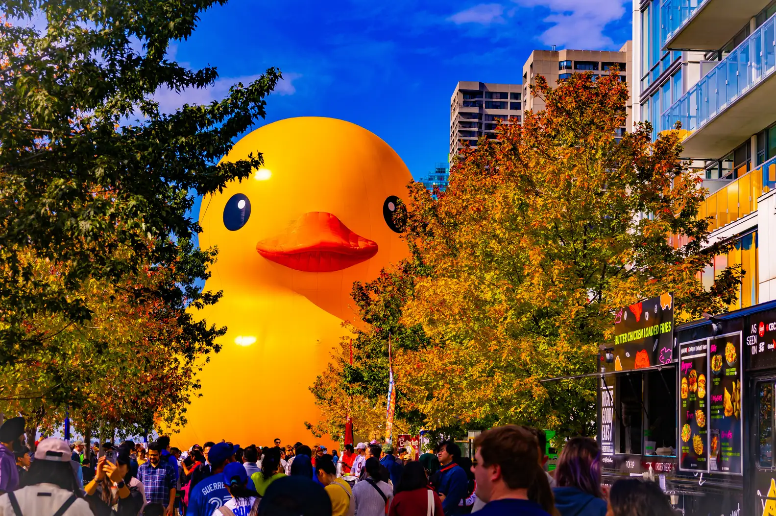 Mama Duck, the "World's Largest Rubber Duck," looms out between trees and buildings, the yellow inflatable sculpture popping against a bright blue sky.