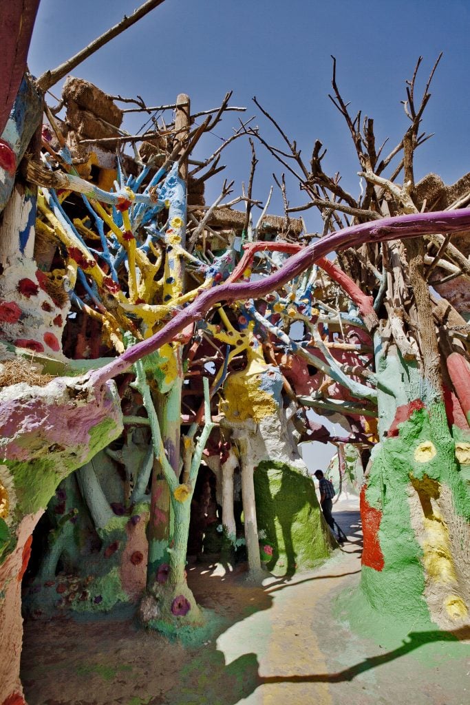 A cluster of tree branches painted in various colors