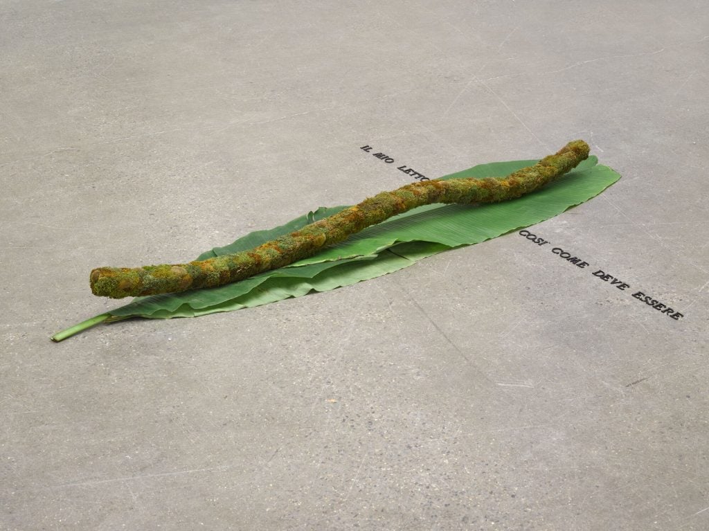  A minimalist art installation featuring a moss-covered branch resting on two large banana leaves. The installation is placed on a concrete floor with the Italian phrase “IL MIO LETTO COSÌ COME DEVE ESSERE” (“My bed as it should be”) written beside it.