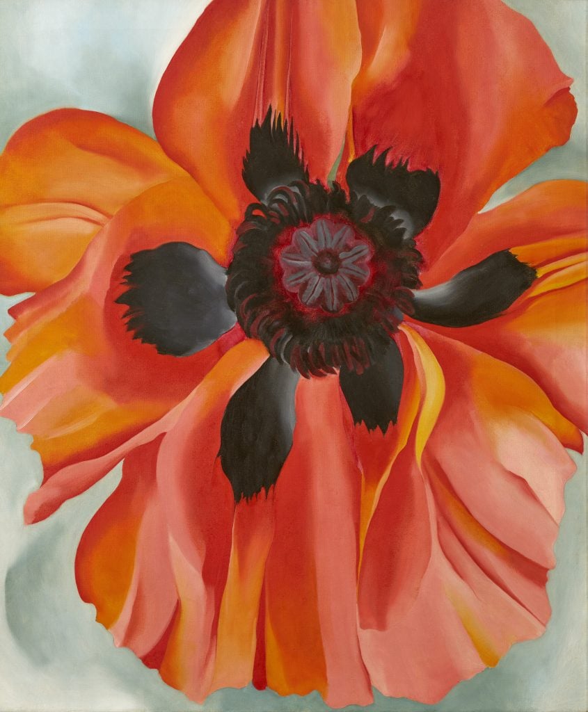 a close up painting of a fiery red flower