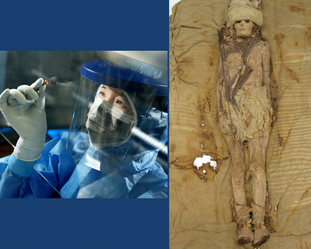 Right: scientist in protective gear analyzing a small sample in a lab. Left: Ancient mummy wrapped in cloth, laid out on a weathered blanket.