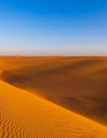 Artificial Intelligence Detects New Archaeological Sites in the Arabian Desert