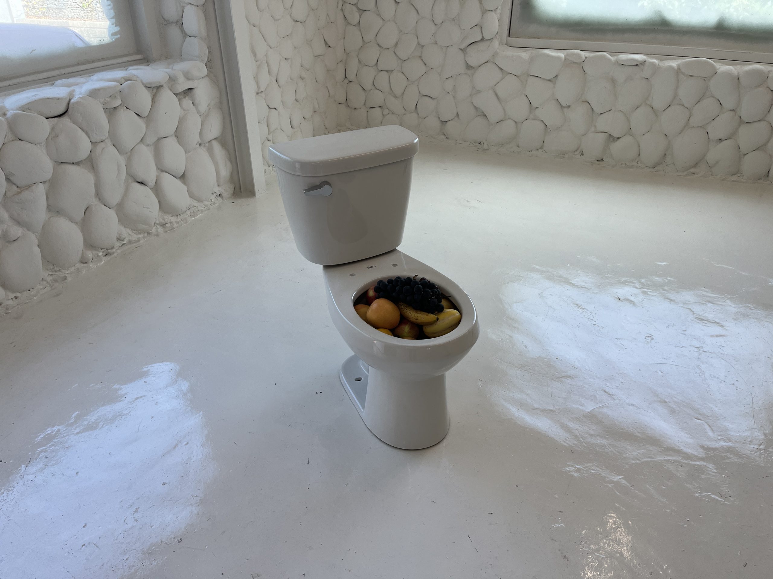 Fruit sit in a toilet bowl