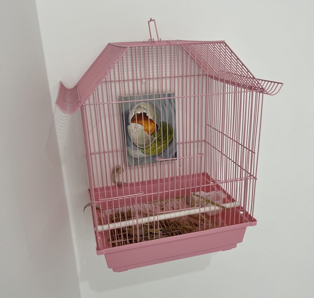 A pink bird cage with an image within it hangs on a white wall