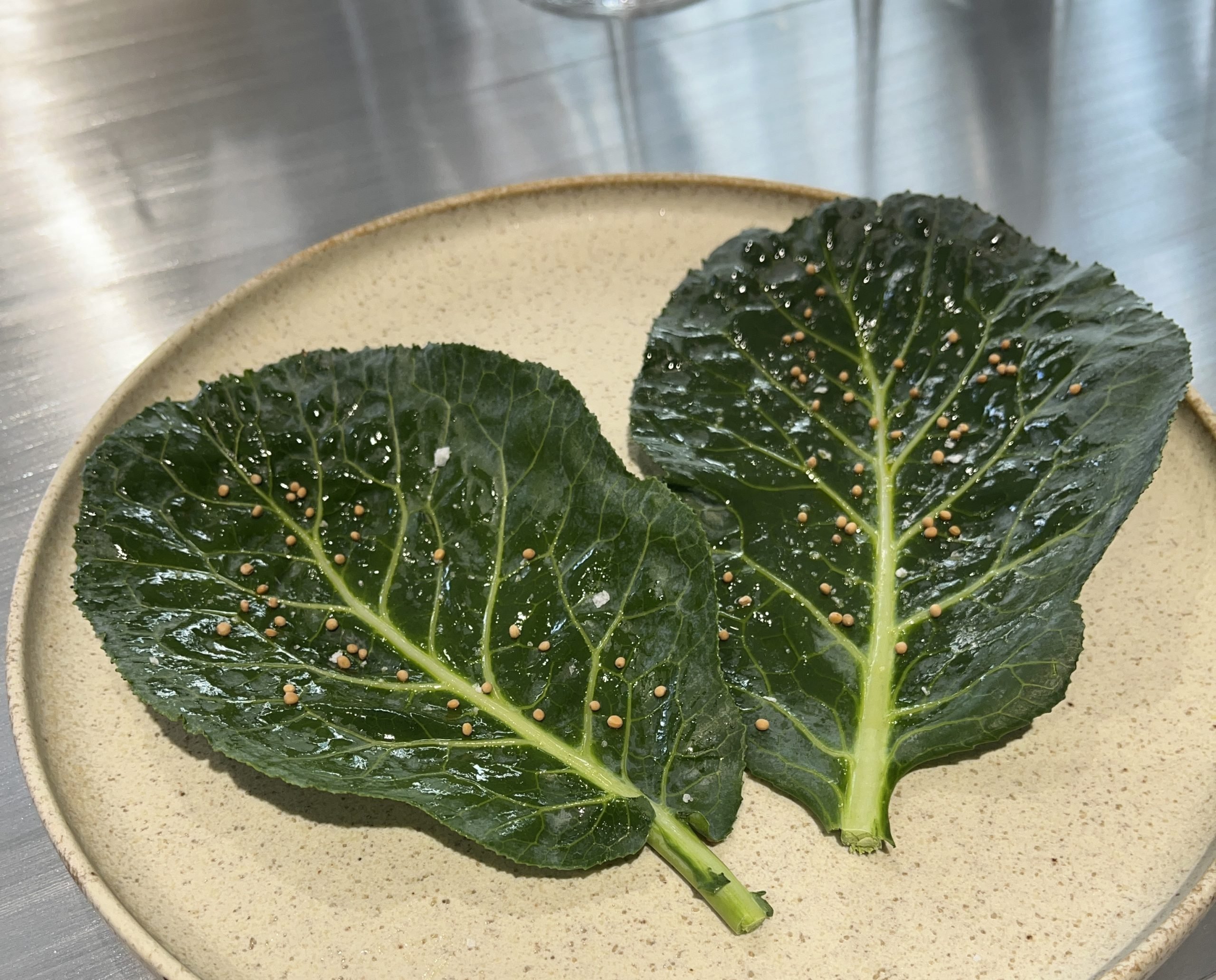 Two leaves are on a plate, covered with salt.