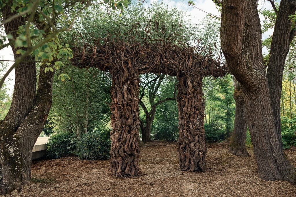 A sculpture by a land artist of whatappears to be a gateway overtaken by vines and branches in the woods