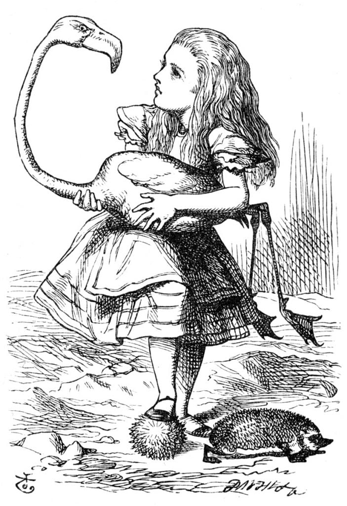 A black and white illustration of a girl holding a flamingo