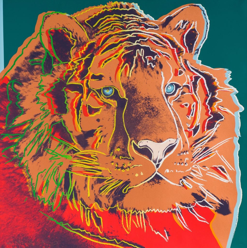 A multicolor print of a siberian tiger by Andy Warhol from his Endangered Species portfolio.