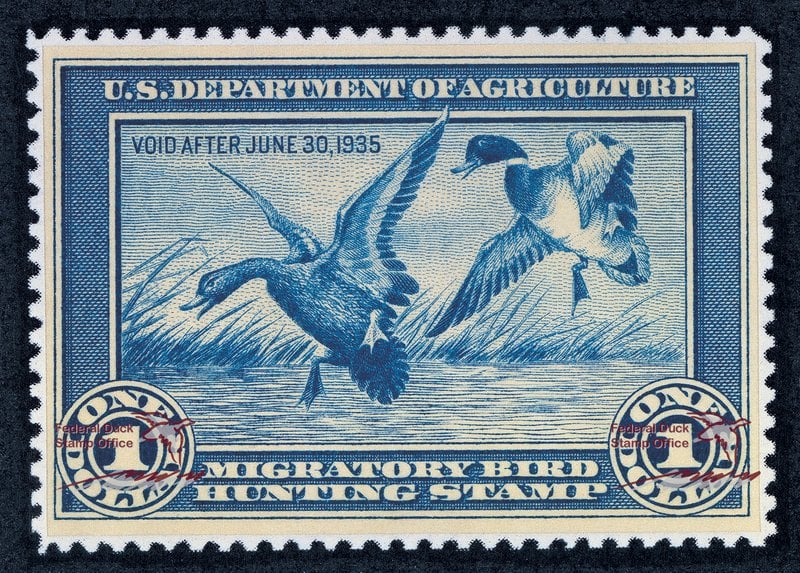 a blue and white design of two mallards over water