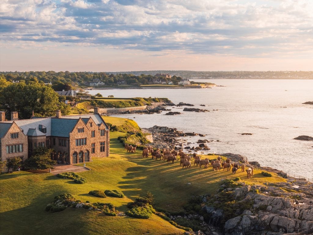 "The Great Elephant Migration" at Rough Point mansion in Newport, Rhode Island. An aerial photo of a herd of life-size wooden elephant sculptures stand on a cliff overlooking the ocean next to a large mansion in the late afternoon sun. 