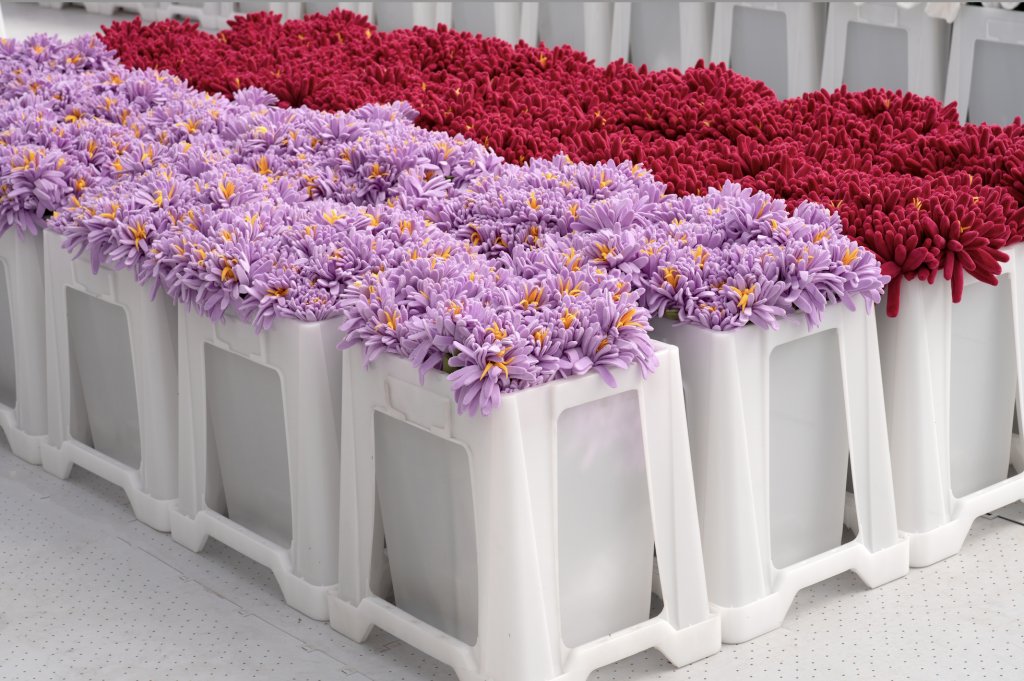 A photo of countless purple and fuschia plush flowers puffing out of white bins.